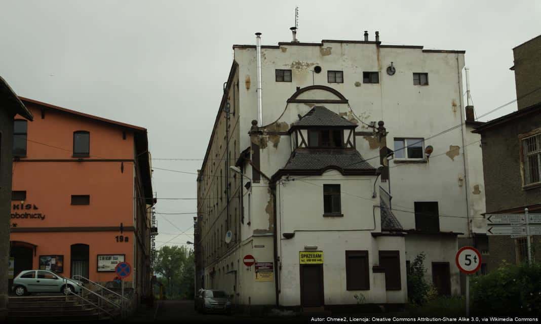 Półkolonie zimowe w Bielawie – zapisy już ruszyły!